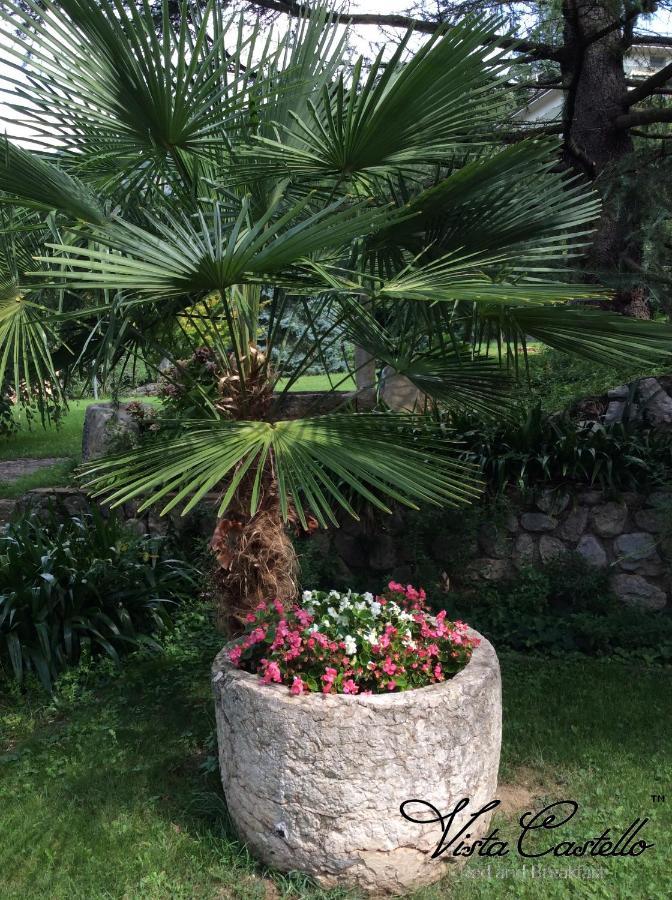 Vista Castello Bed and Breakfast Rovereto  Exteriör bild