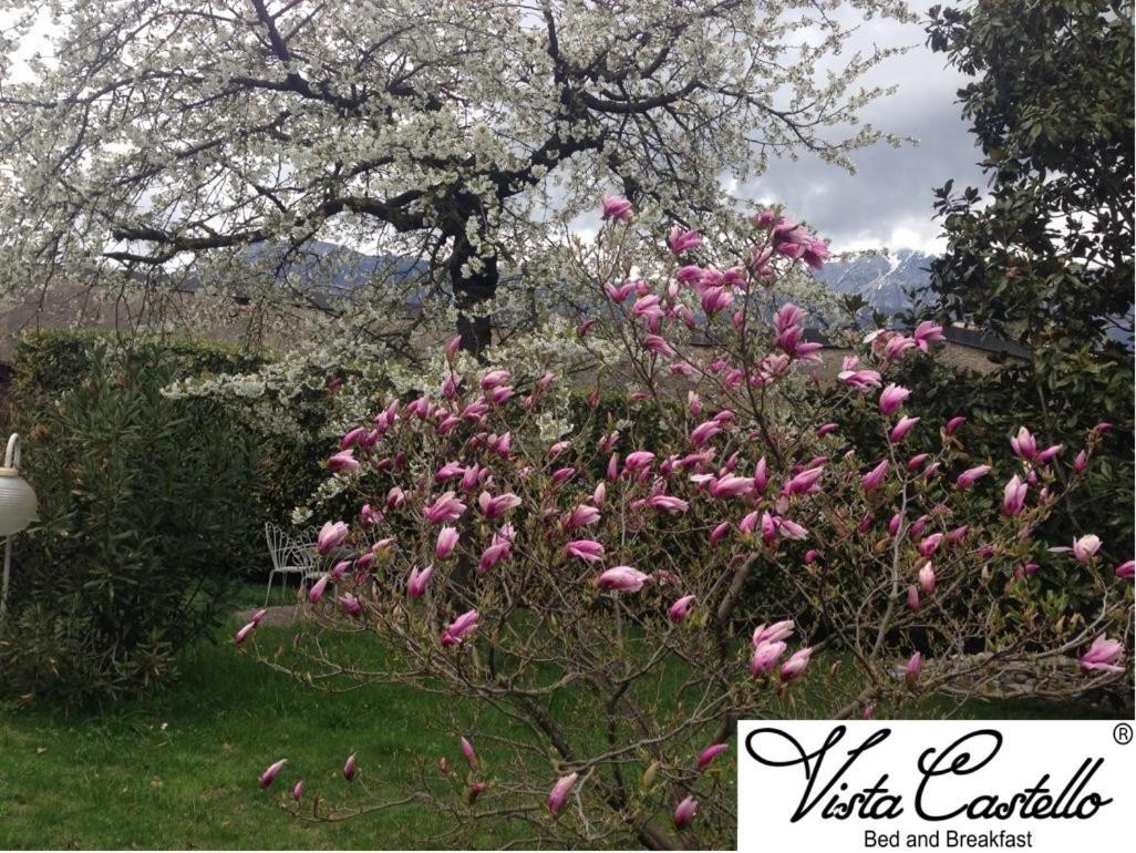 Vista Castello Bed and Breakfast Rovereto  Exteriör bild